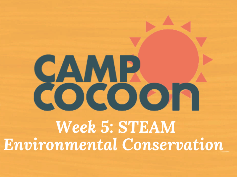 Cocoon Summer Camp Week 5: STEAM Environmental Conservation (4-8yrs)