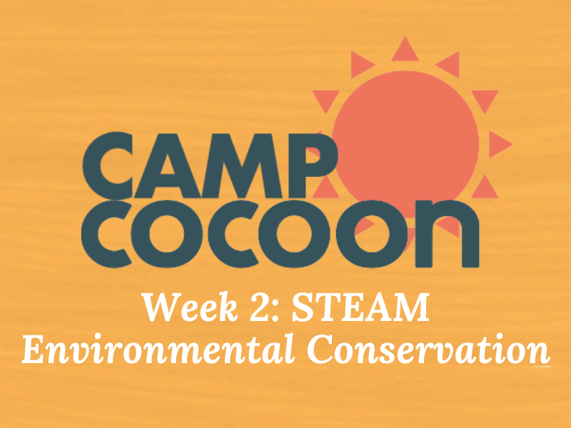 Cocoon Summer Camp Week 2: STEAM Environmental Conservation (4-8yrs)