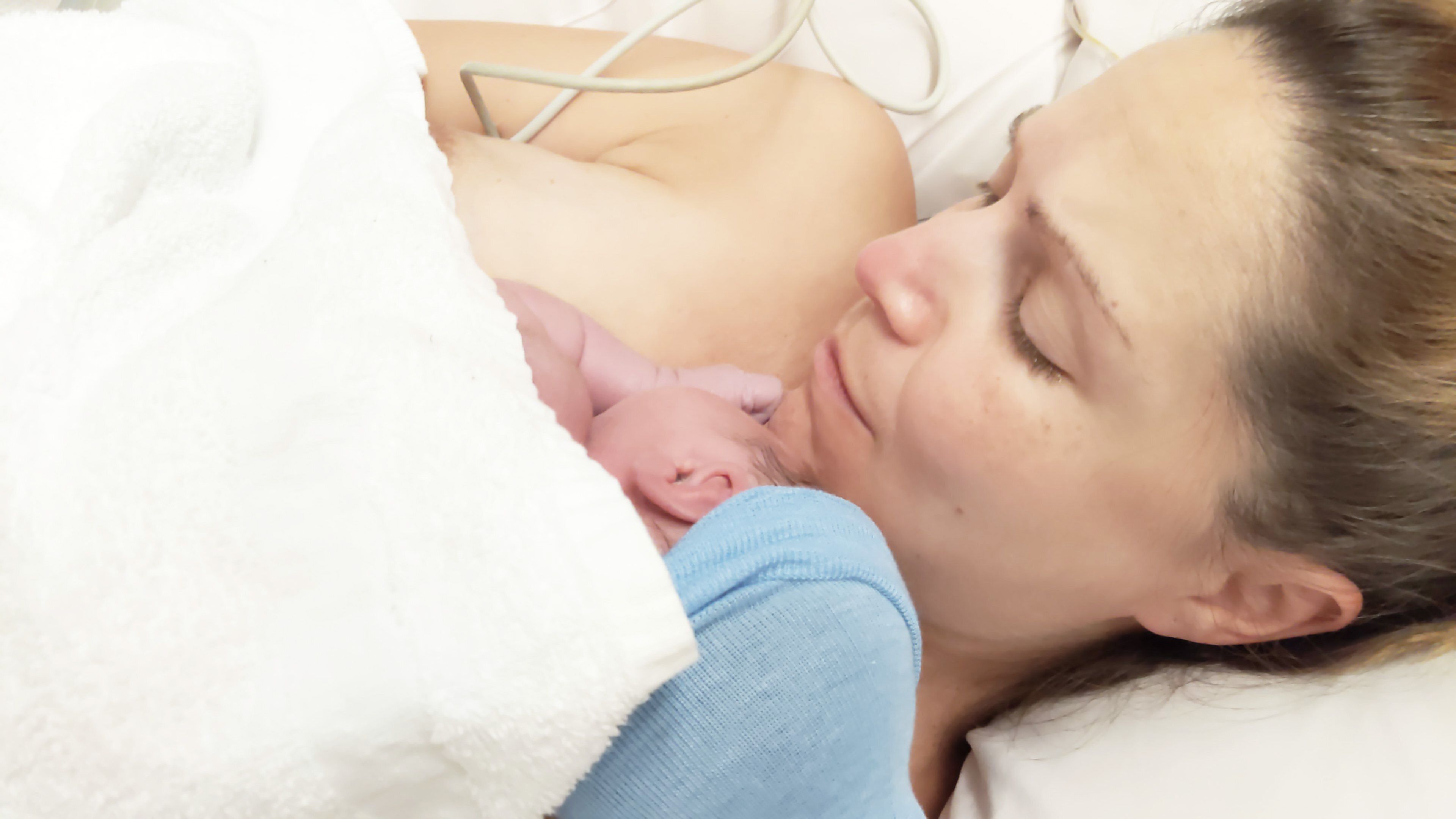 Image from Cocoon: A Home for Families