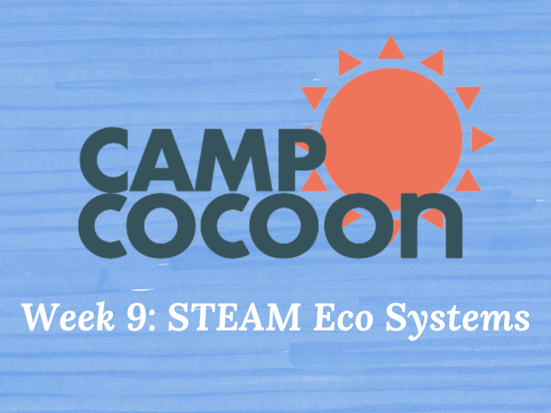 Cocoon Summer Camp Week 9: STEAM Eco Systems (4-8yrs)