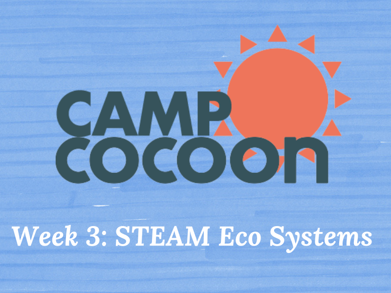 Cocoon Summer Camp Week 3: STEAM Eco Systems (4-8yrs)